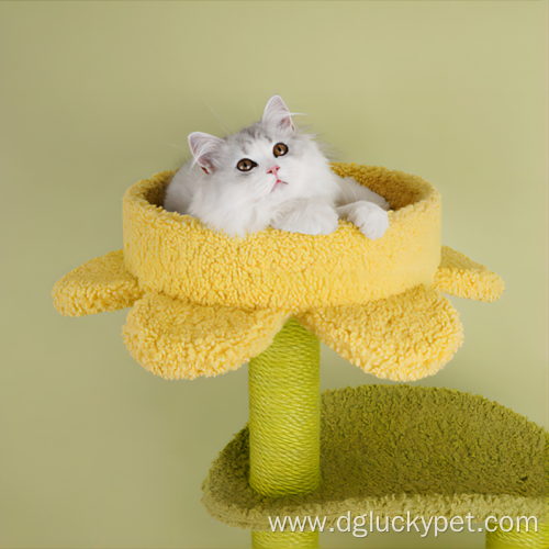 Cat Climbing Cat Tree for Sale